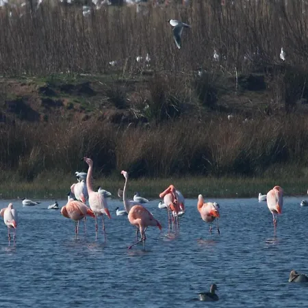 Vakantiewoning De Kei. Modern Achterhoeks Genot Prázdninový dům Lichtenvoorde