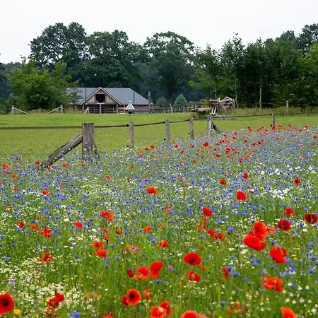 Vakantiewoning De Kei. Modern Achterhoeks Genot Prázdninový dům Lichtenvoorde