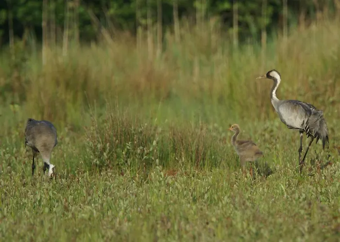 Vakantiewoning De Kei. Modern Achterhoeks Genot * Lichtenvoorde
