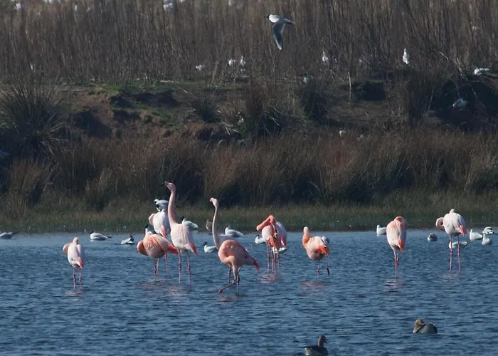 Vakantiewoning De Kei. Modern Achterhoeks Genot Сasa de vacaciones Lichtenvoorde