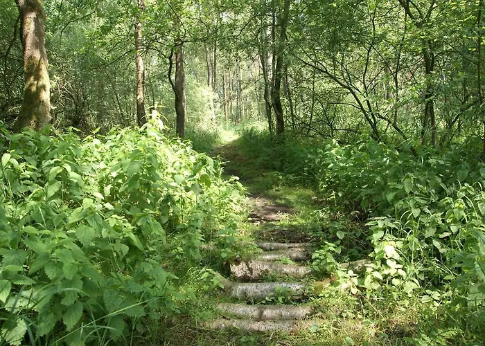 Сasa de vacaciones Vakantiewoning De Kei. Modern Achterhoeks Genot *