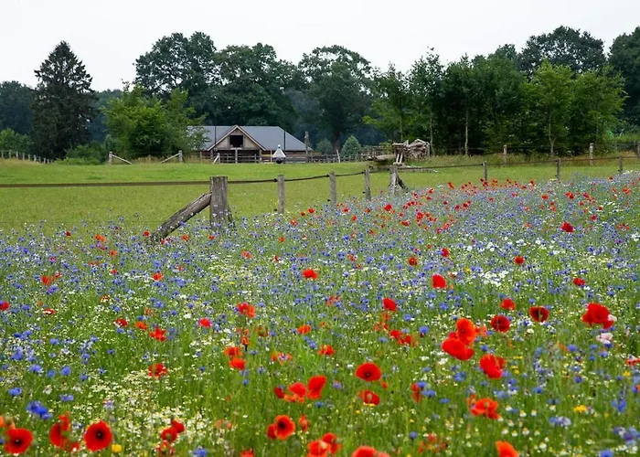 Vakantiewoning De Kei. Modern Achterhoeks Genot Сasa de vacaciones Lichtenvoorde